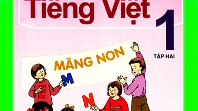 Tìm  hiểu về âm tiết Tiếng Việt 