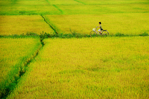 Quê hương Việt Nam qua bức tranh thôn Vĩ Dạ của xứ Huế sao mà xinh xắn thế, thơ mộng và trữ tình đến thế.  Bài văn đạt giải nhất Quốc gia