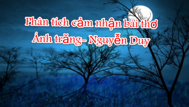 Phân tích cảm nhận bài thơ Ánh trăng- Nguyễn Duy